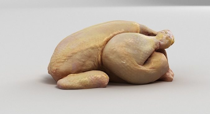Raw Chicken 3D model 4
