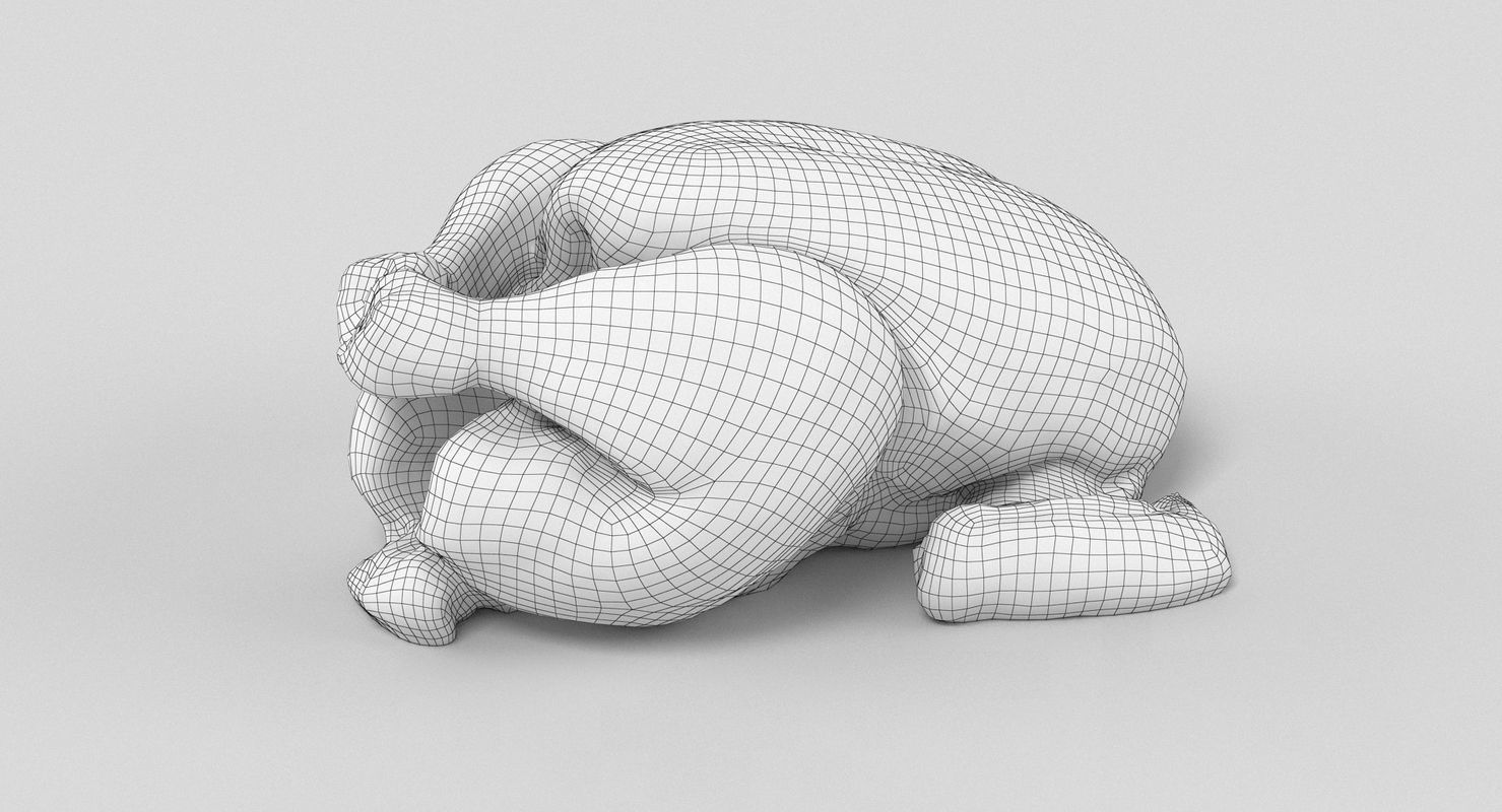 Raw Chicken 3D model_10