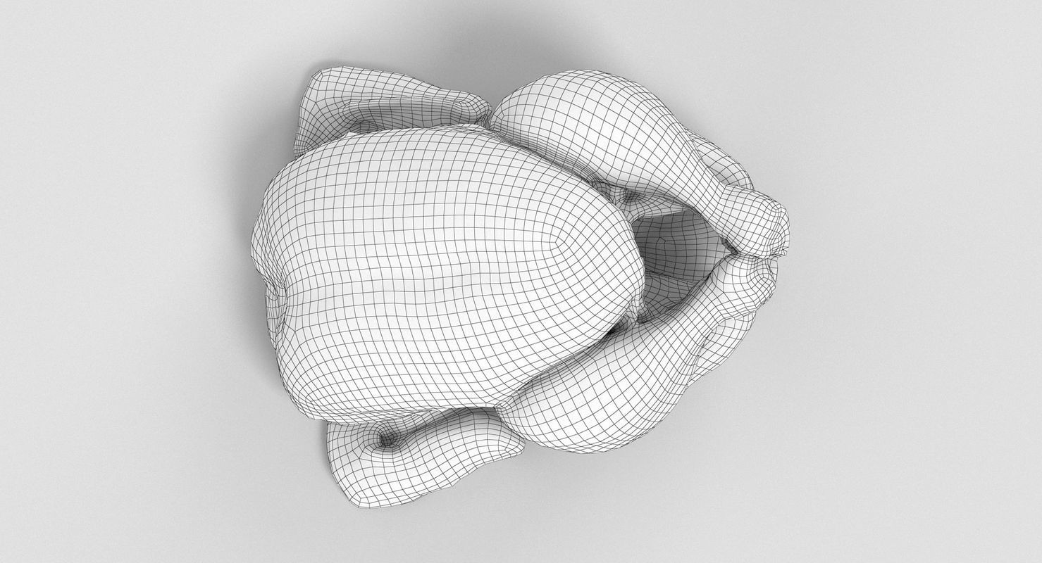 Raw Chicken 3D model_2