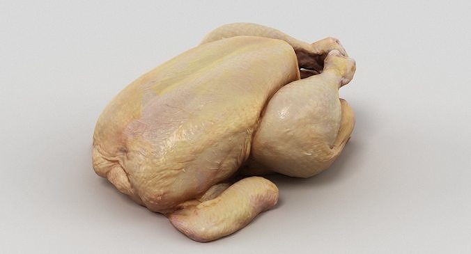 Raw Chicken 3D model 5