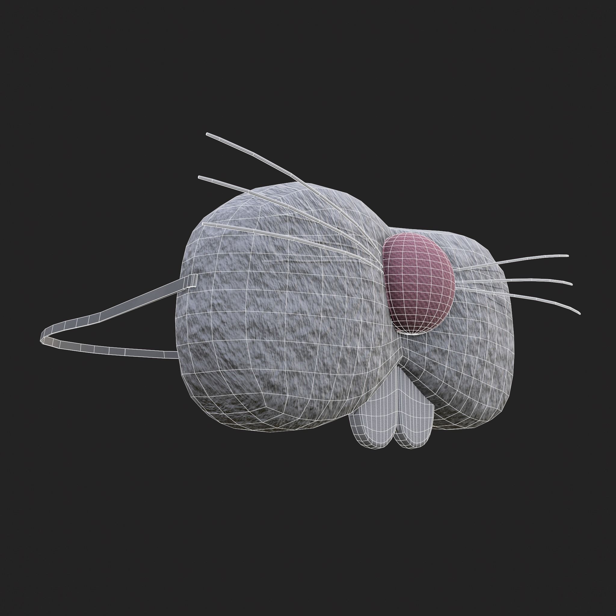Bunny Attire Ears and Nose Low-poly 3D model_14