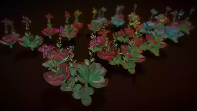 Flower Kalanchoe Thyrsiflora