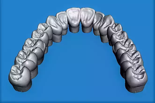 Realistic Teeth no Roots for 3d print design