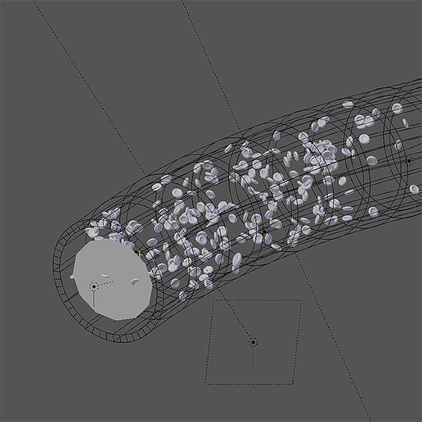 Blood circulation 3D model_4