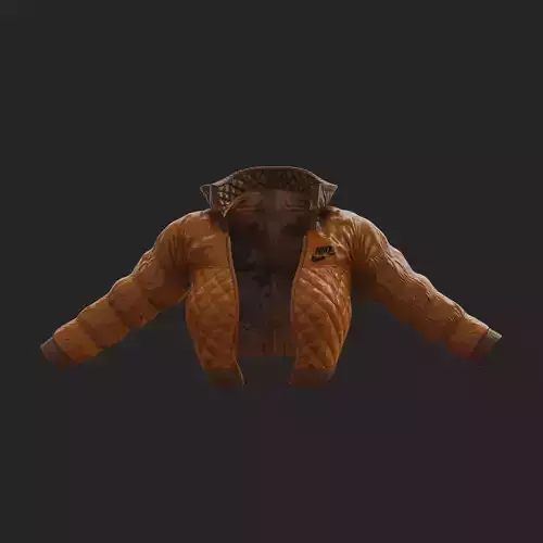 Glossy jacket in a semi-futuristic style in different colours  Low-poly 3D model