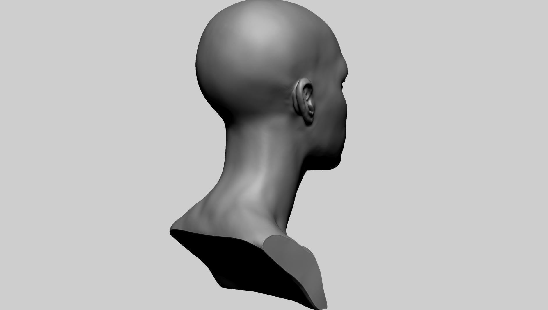 Female Head C 3D model_3