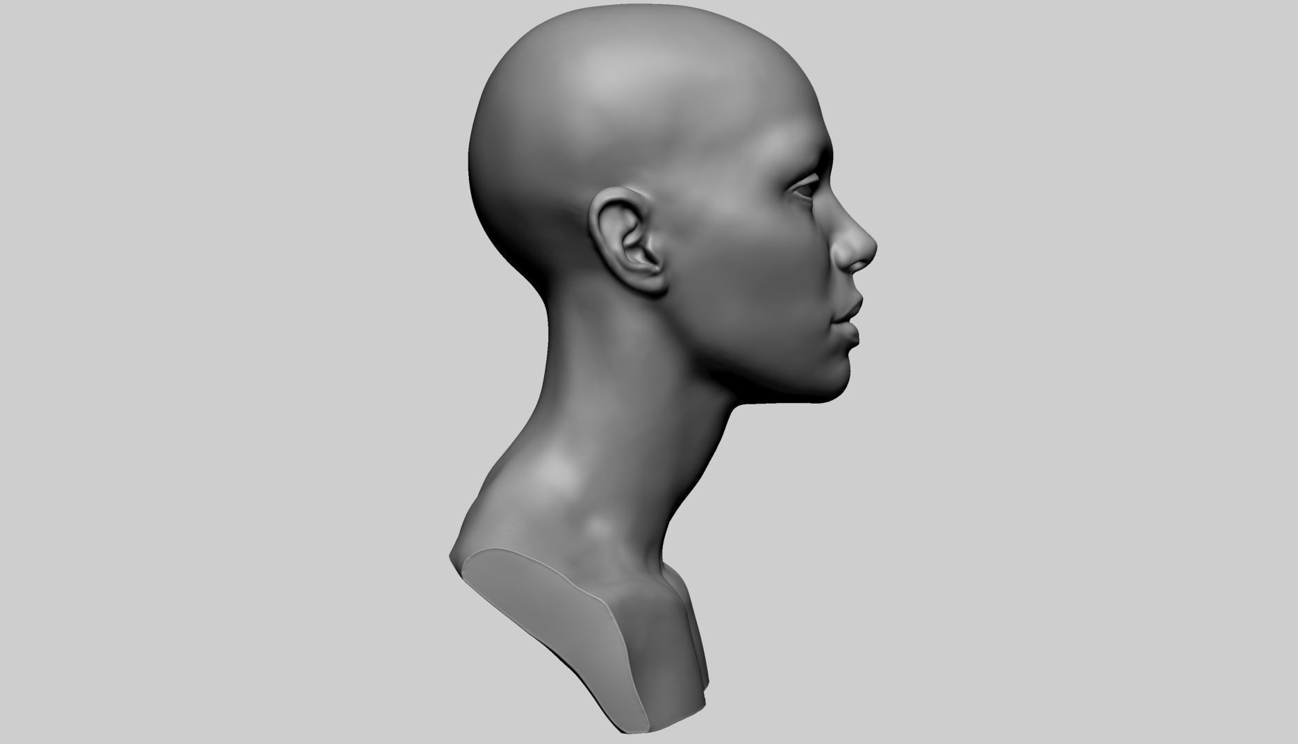 Female Head C 3D model_2