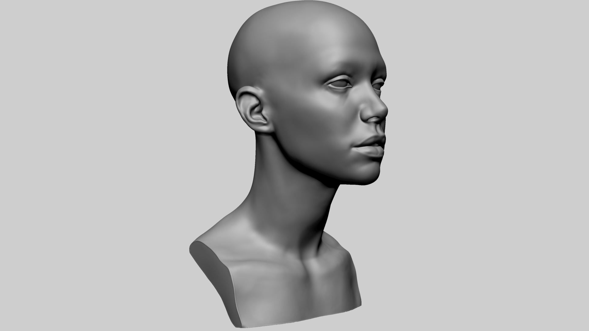 Female Head C 3D model_1