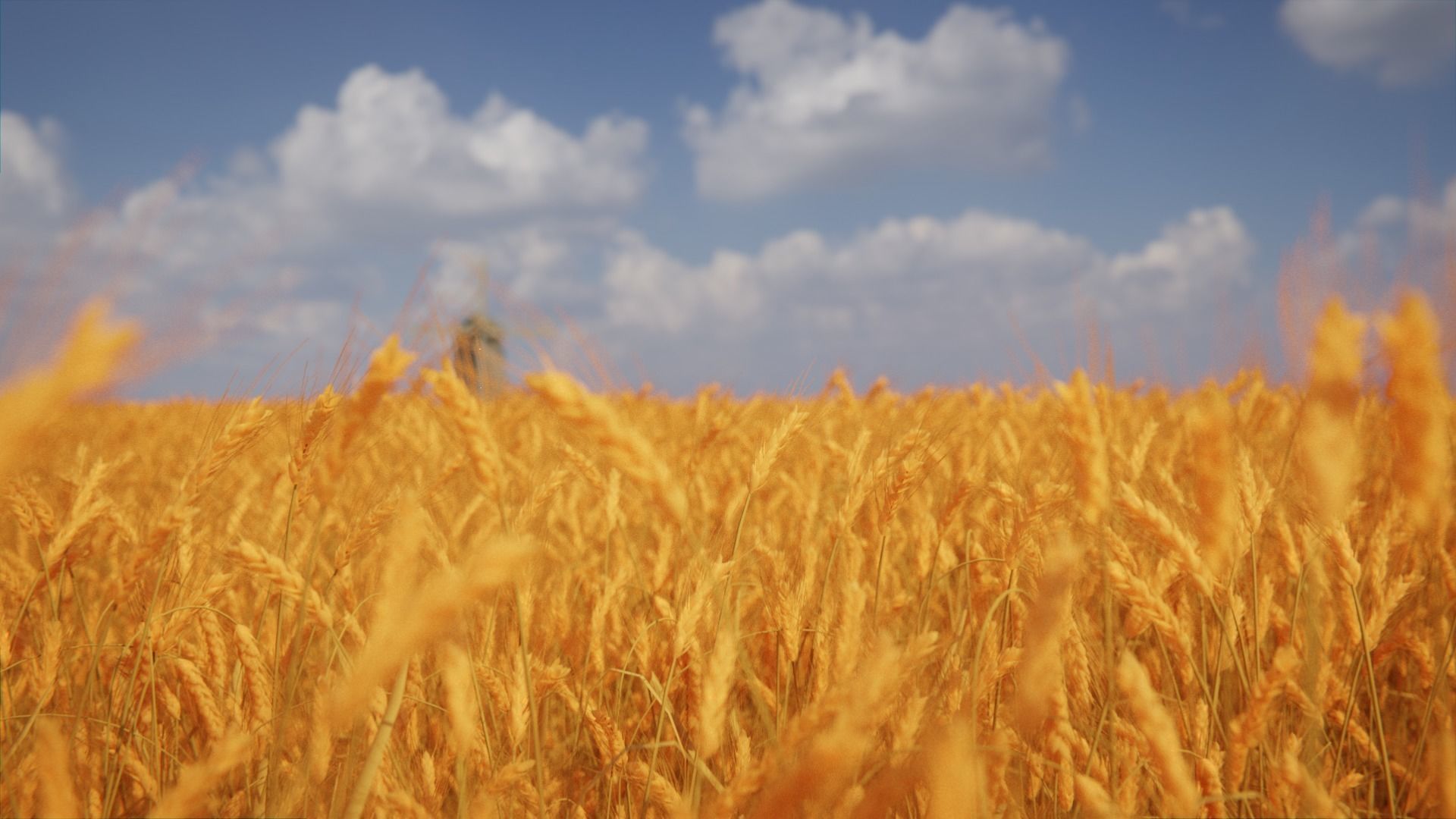 Wheat Field 3D model_3