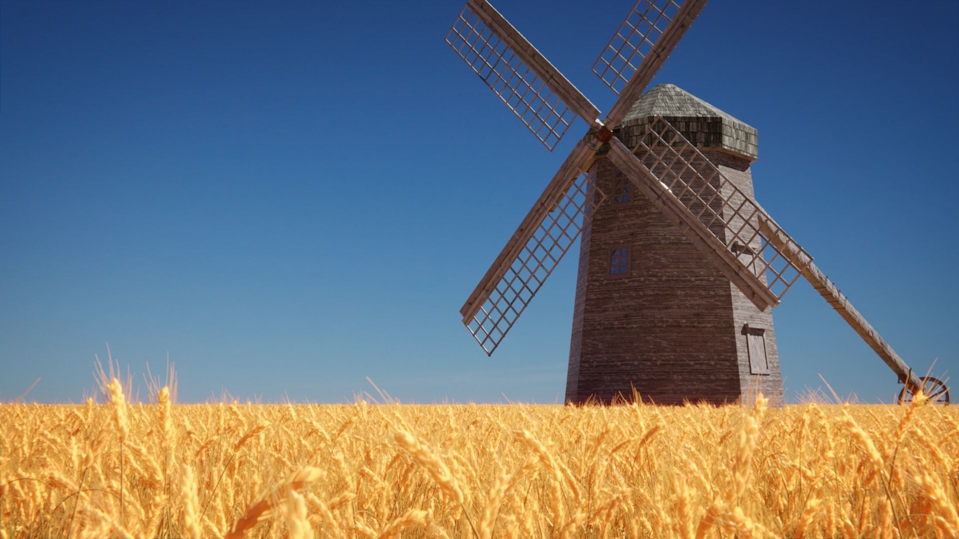 Wheat Field 3D model_1