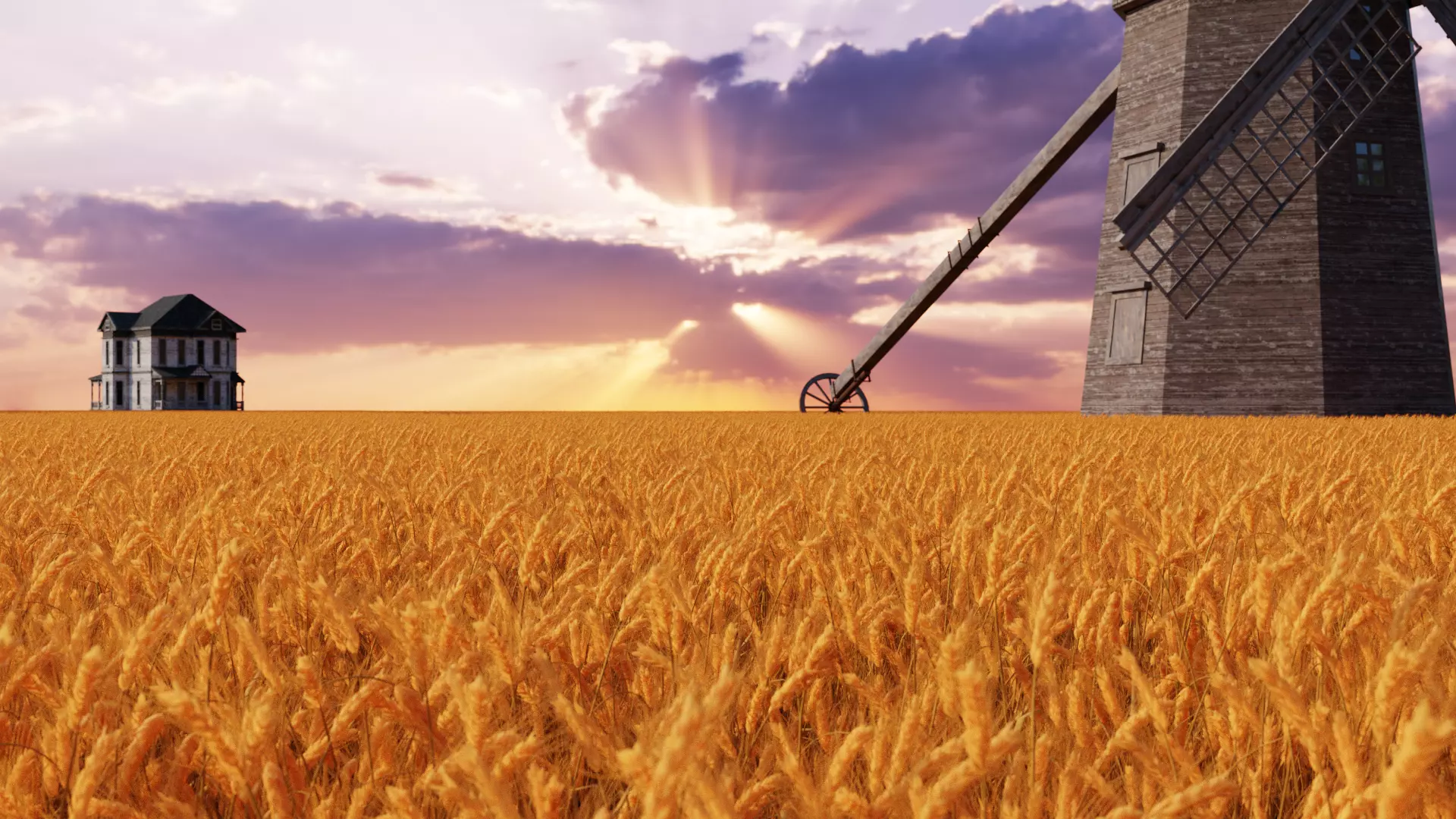 Wheat Field 3D model_0