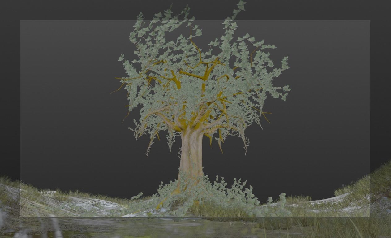 Moonlight Tree Low-poly 3D model_6