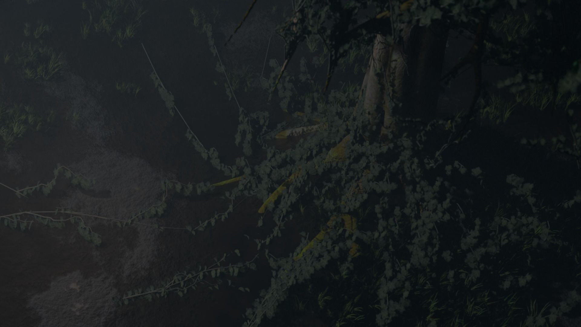 Moonlight Tree Low-poly 3D model_1
