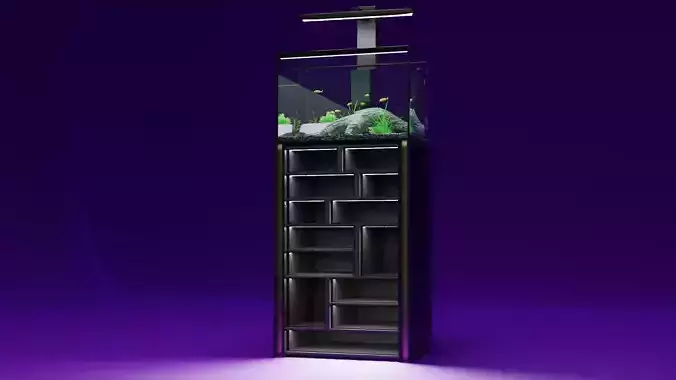 Aquatium set fish tank on shelf