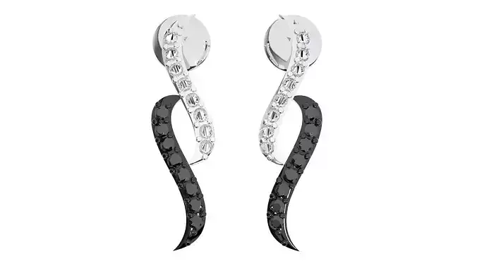 Women earrings