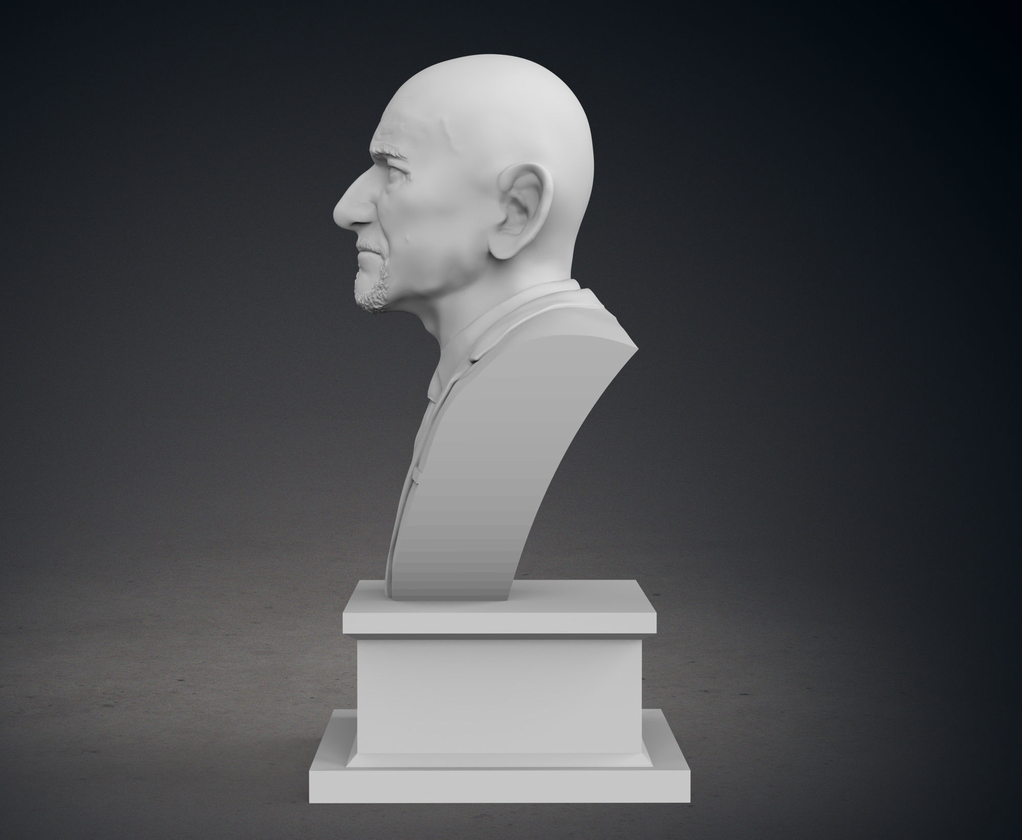 Sir Ben Kingsley Bust 3D print model_3
