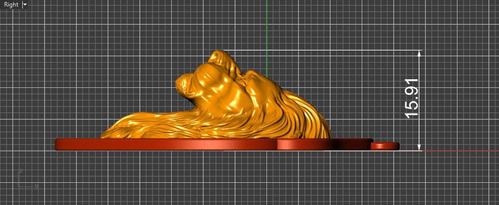 The Calm Lion Shield Pendant 3D print model_22
