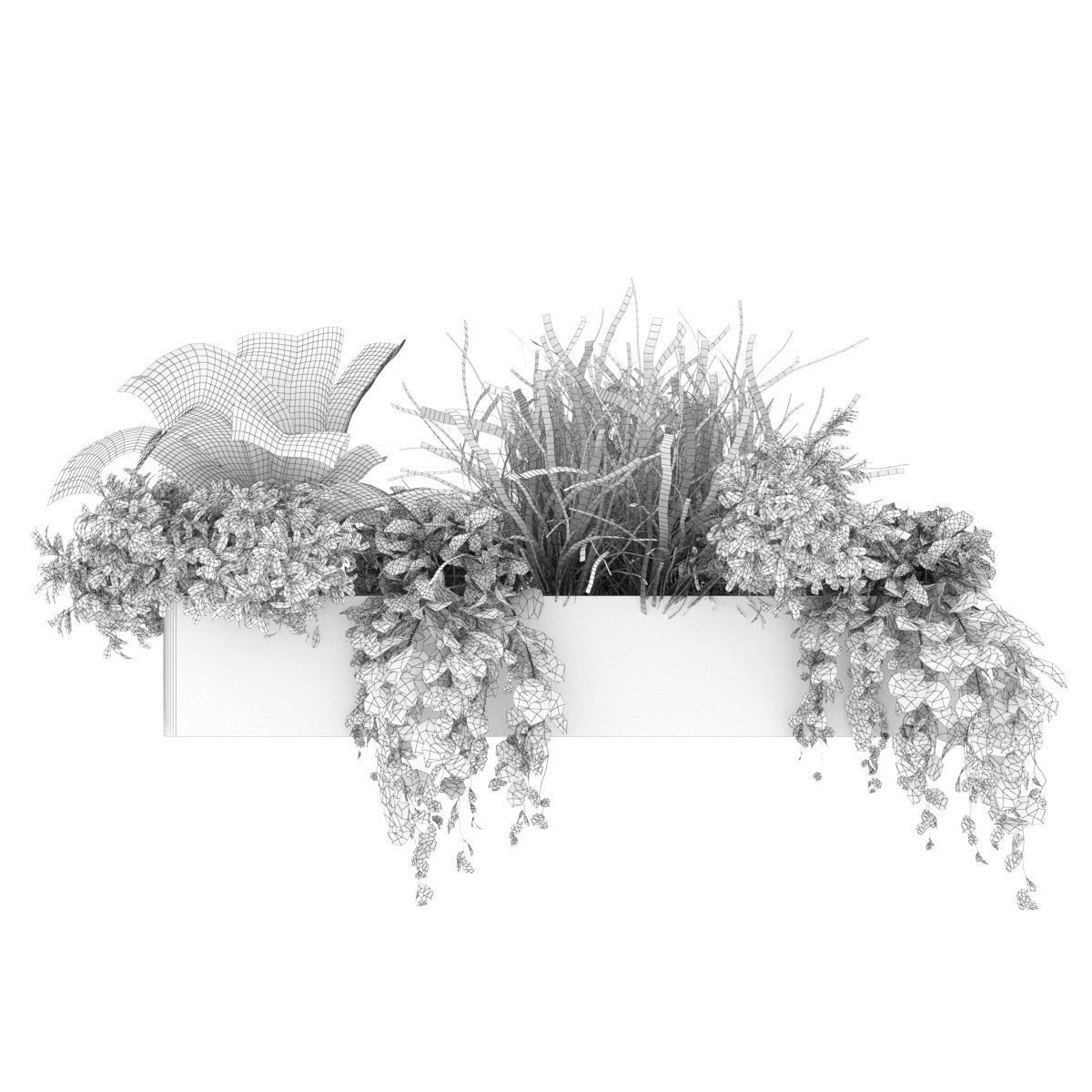 Collection plant vol 333 - indoor - leaf - monstera - banana 3D model_4