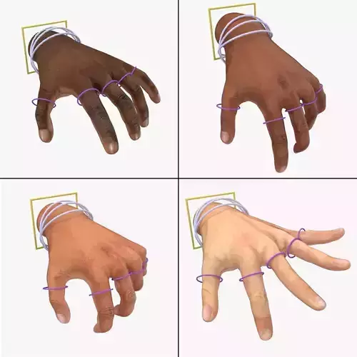 Hand Rigged With Poses Collection Low-poly 3D model