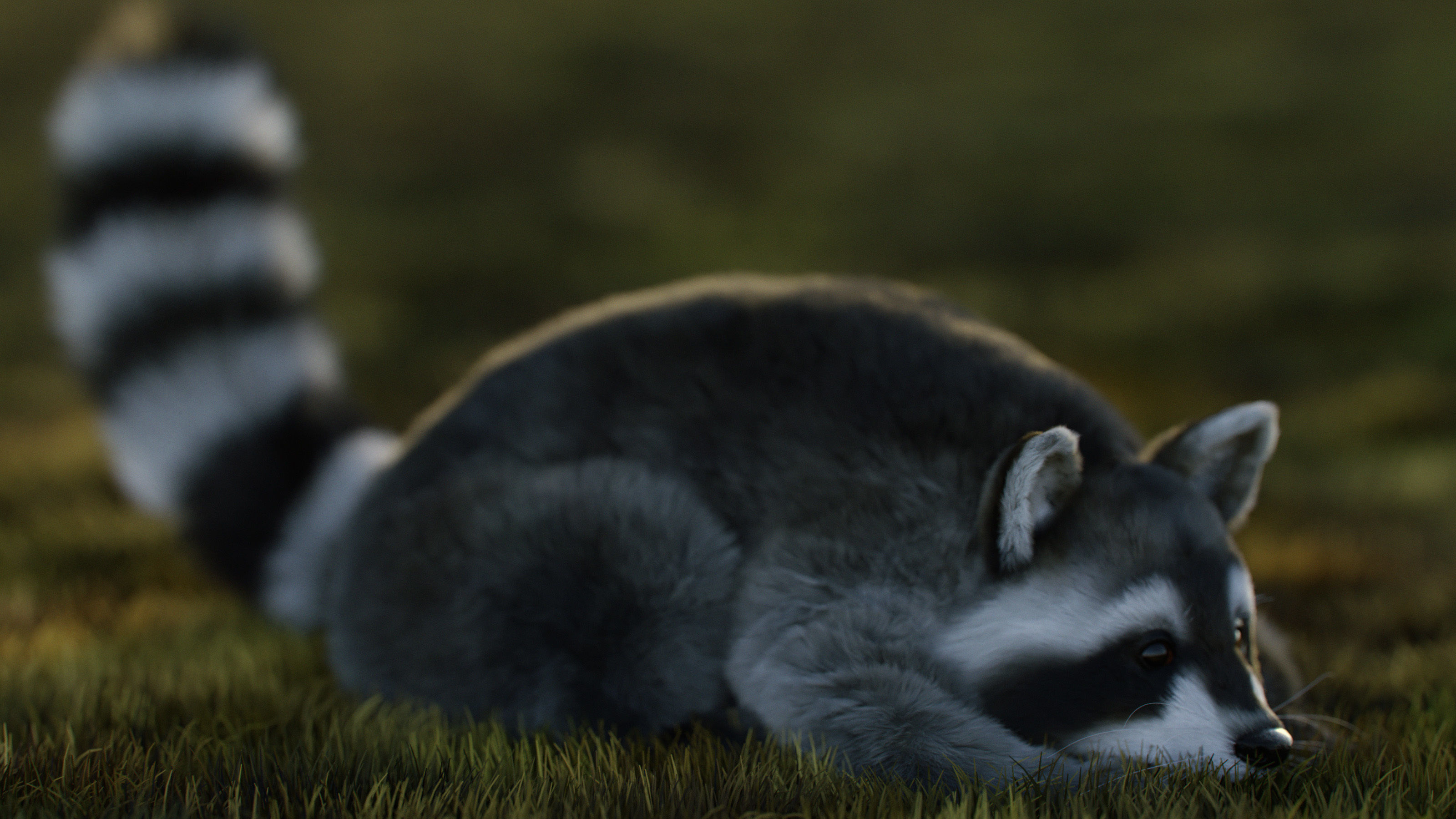 Wild Raccoon 3DS Max 3D model_6