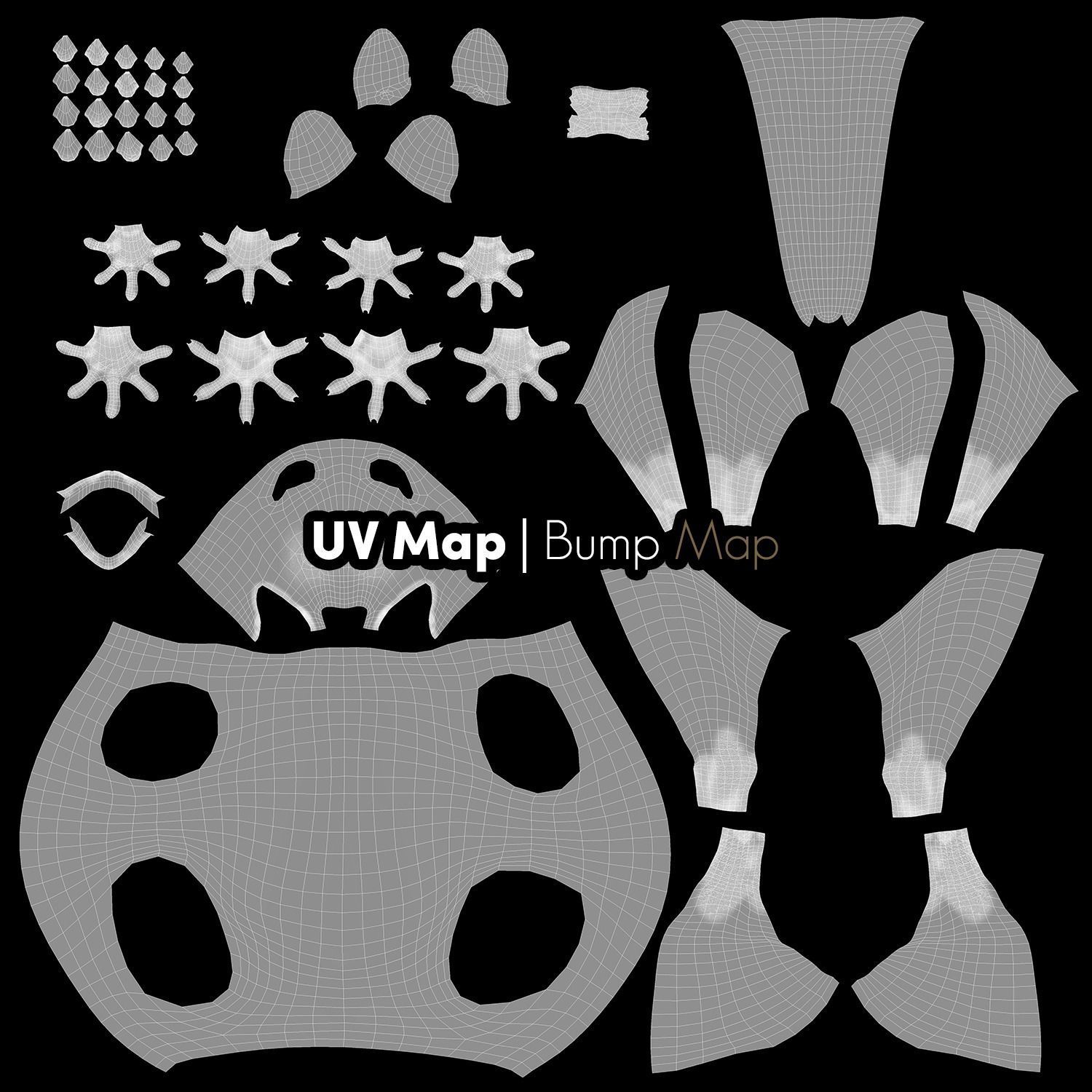 Wild Raccoon 3DS Max 3D model_16