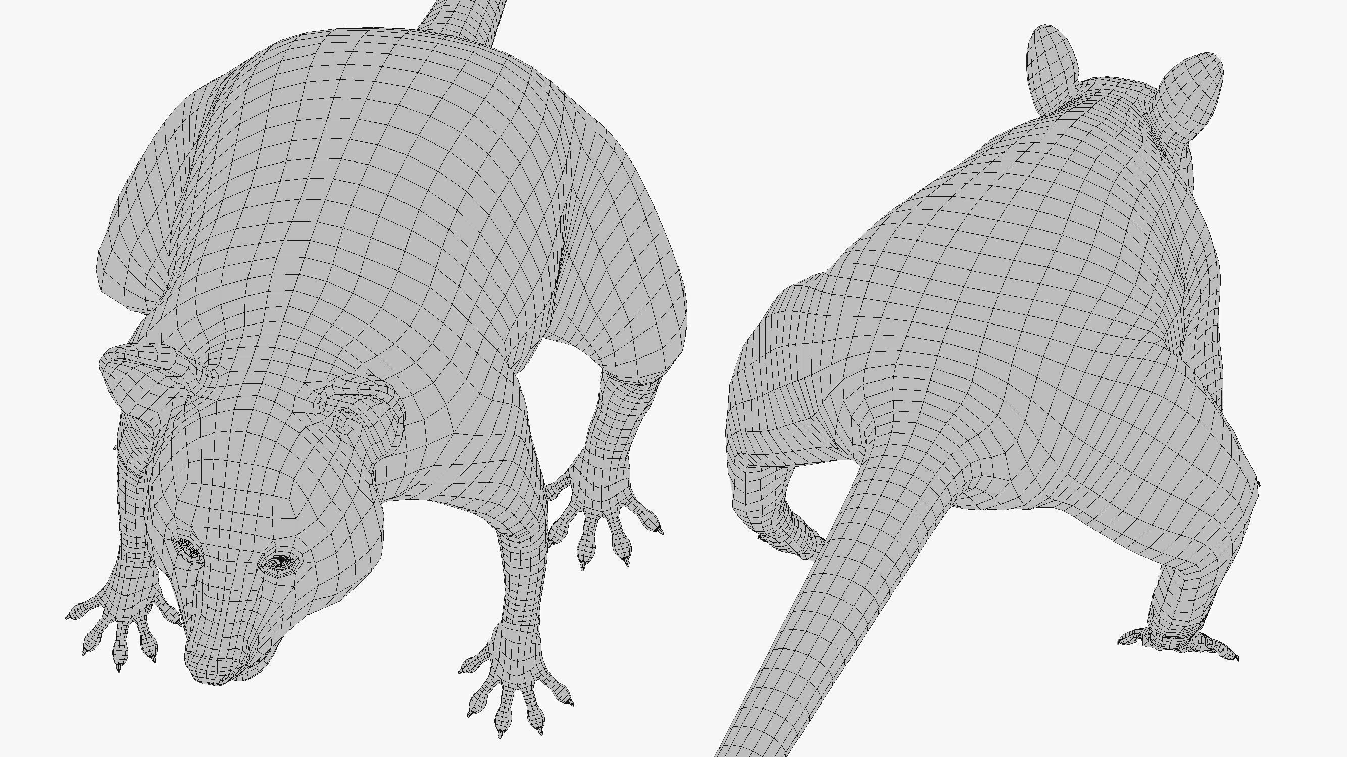 Wild Raccoon 3DS Max 3D model_22
