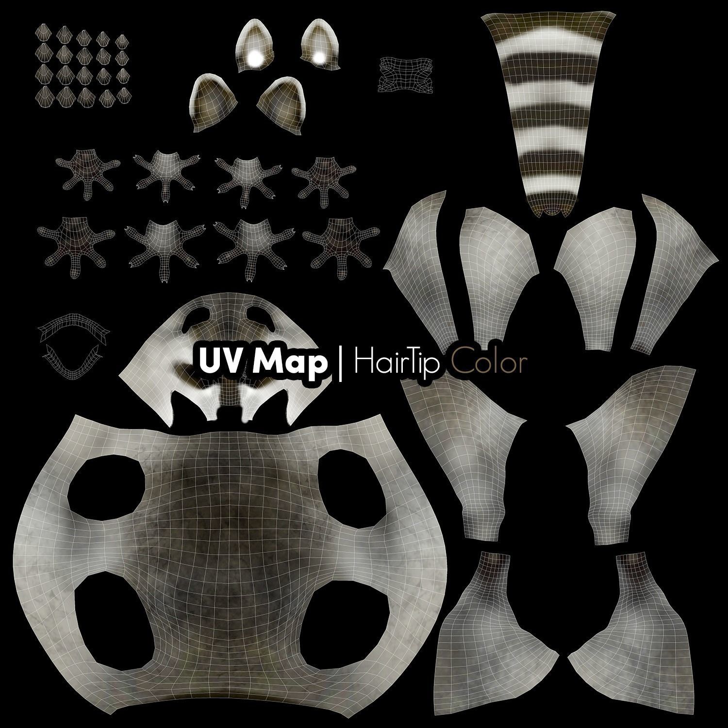 Wild Raccoon 3DS Max 3D model_15