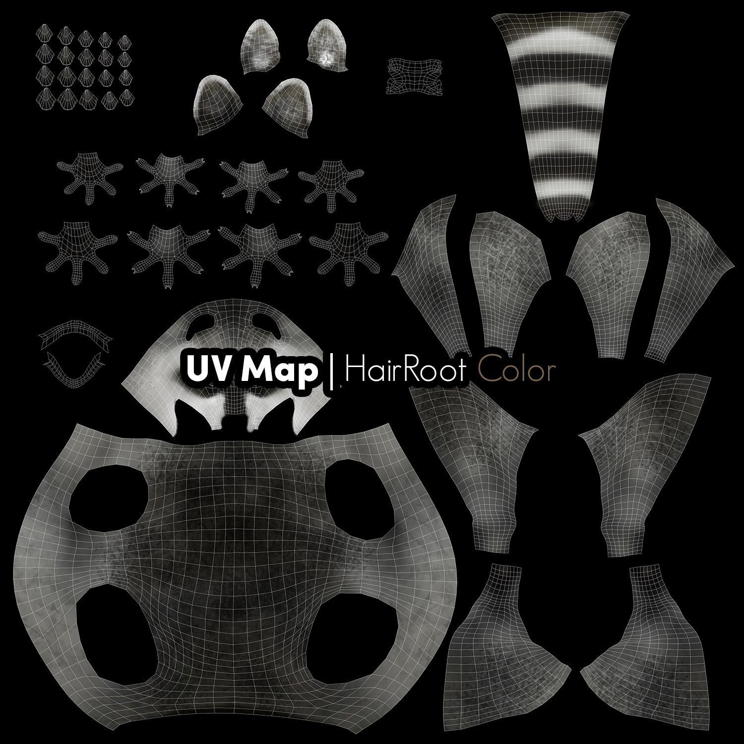 Wild Raccoon 3DS Max 3D model_14