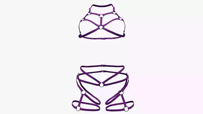 Body Harness