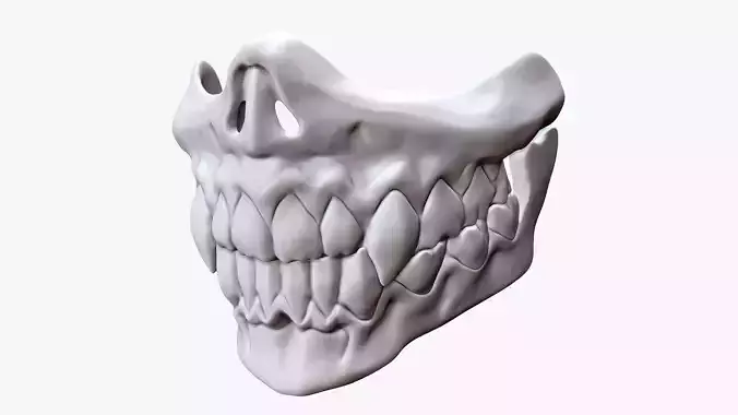 Skull Jaw Mask 3D print model