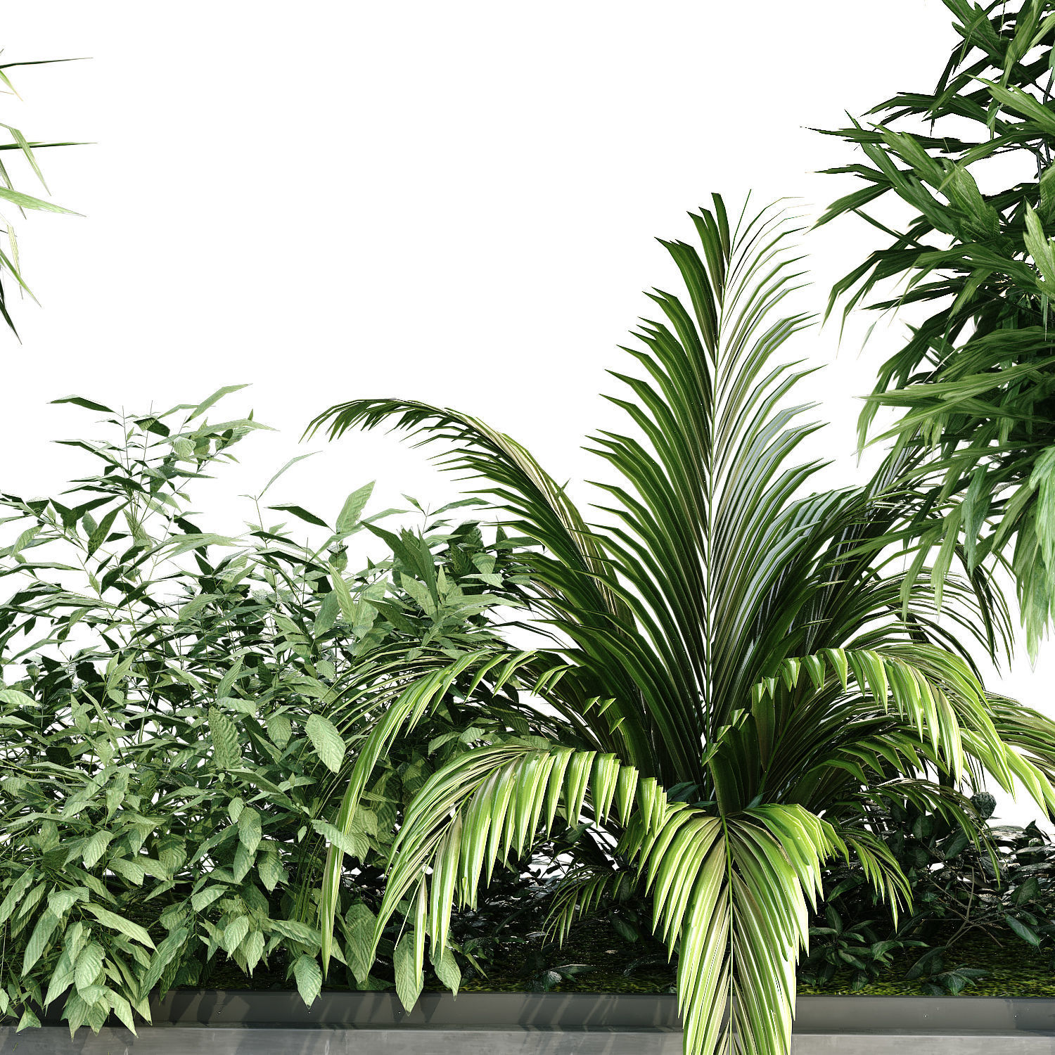 vertical plant set 191 3D model_5