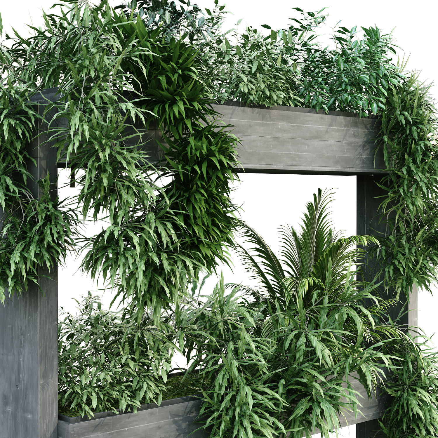 vertical plant set 191 3D model_2