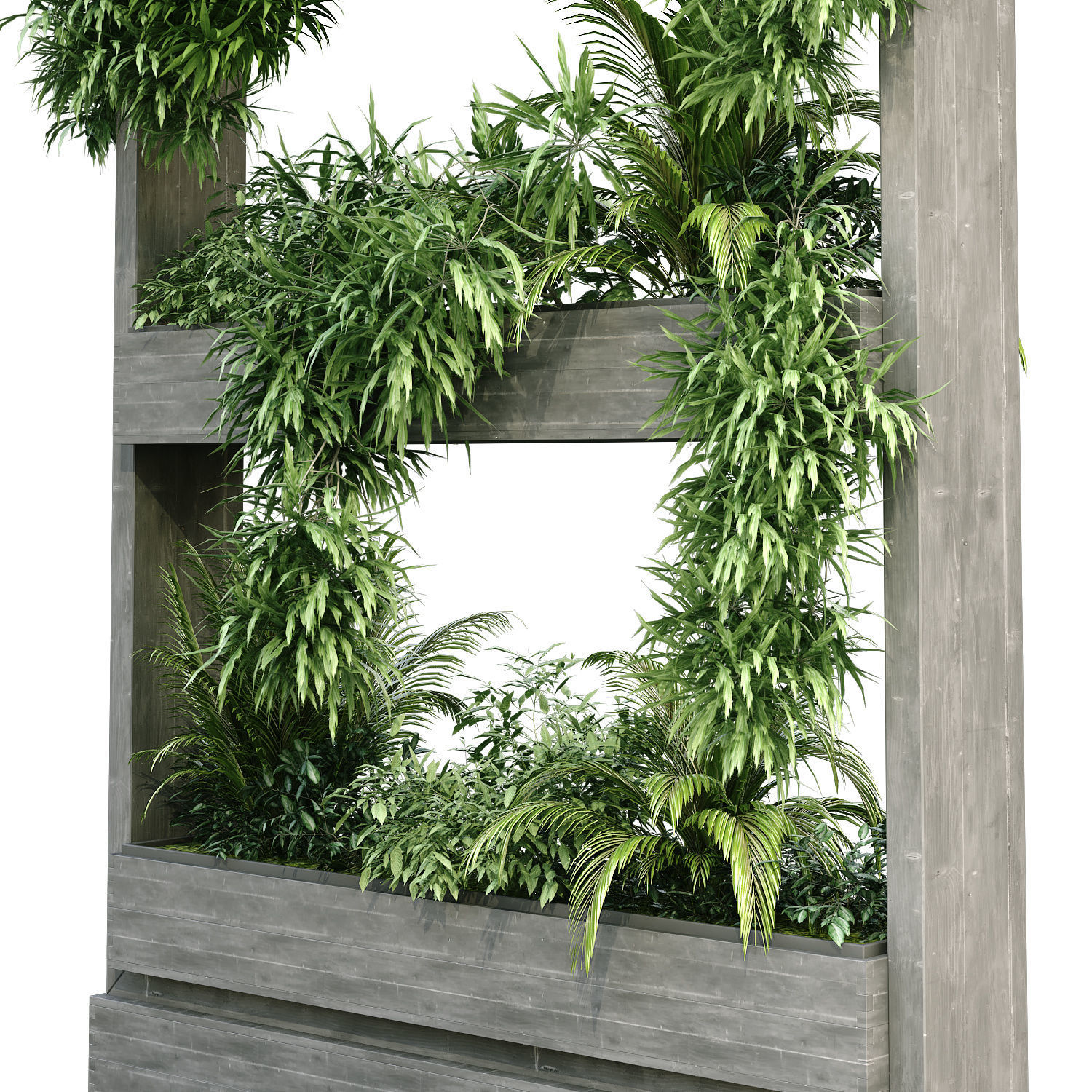 vertical plant set 191 3D model_4