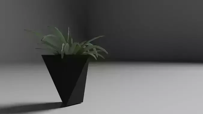 Succulent plant in vase