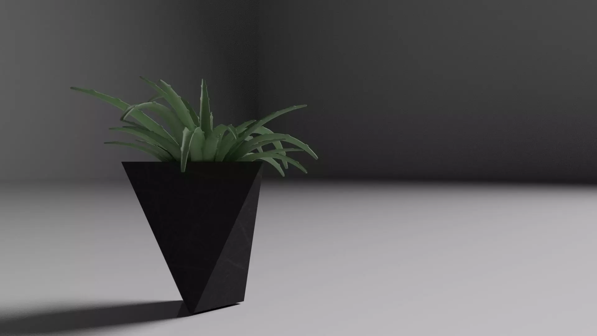 Succulent plant in vase Free 3D model