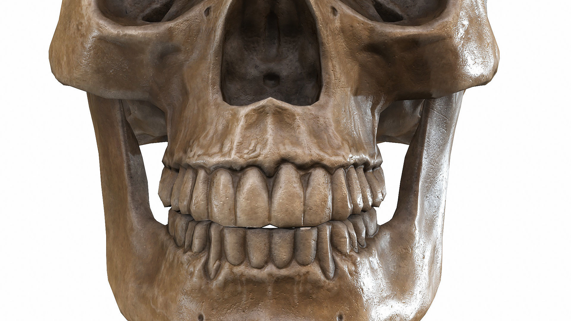 Skull LOW-POLY metal Low-poly 3D model_99