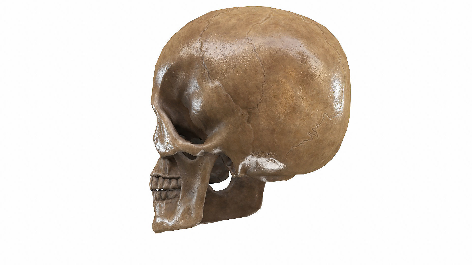 Skull LOW-POLY metal Low-poly 3D model_34