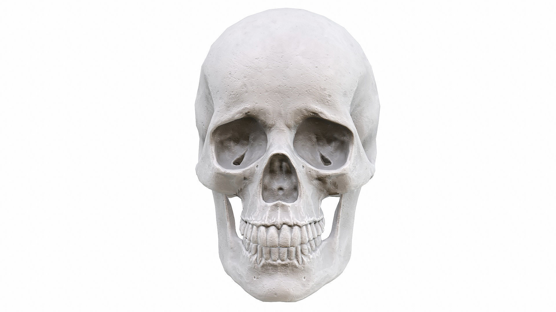 Skull LOW-POLY metal Low-poly 3D model_50