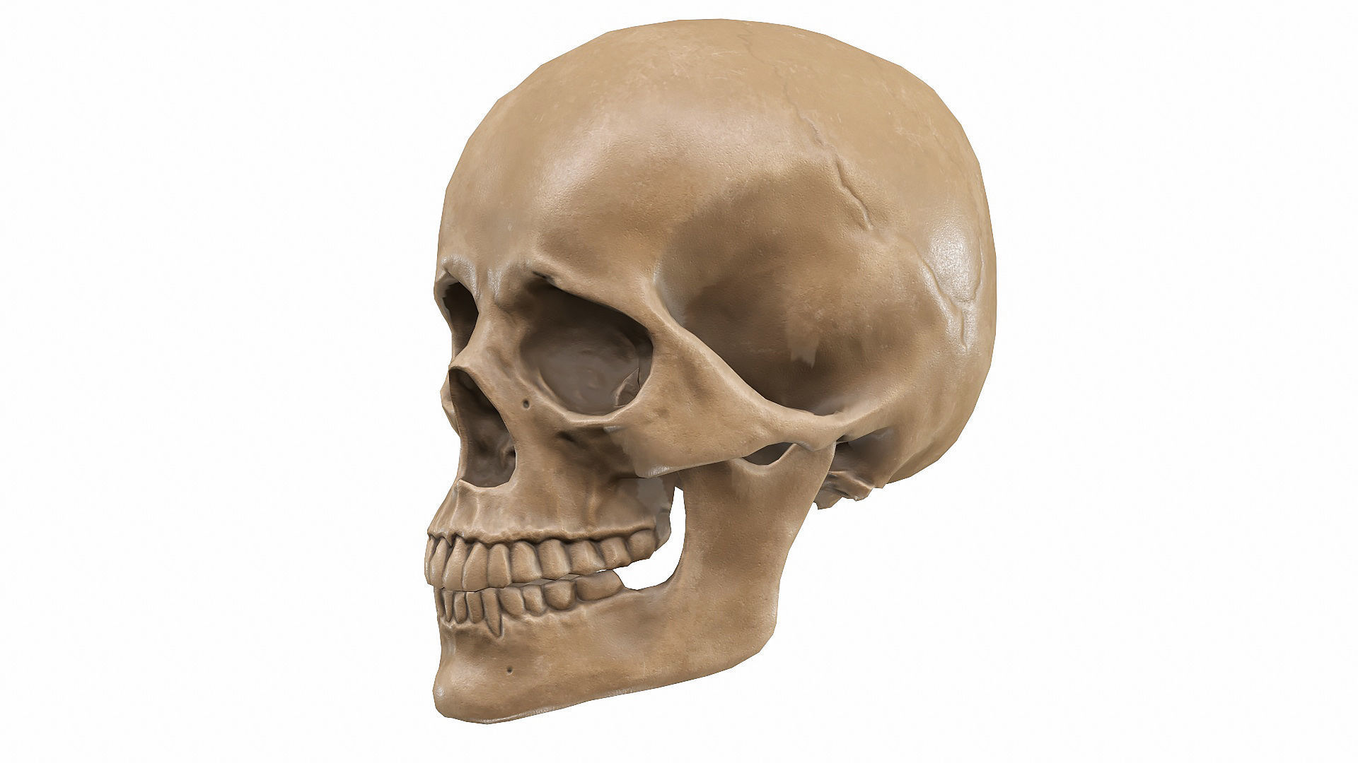 Skull LOW-POLY metal Low-poly 3D model_51