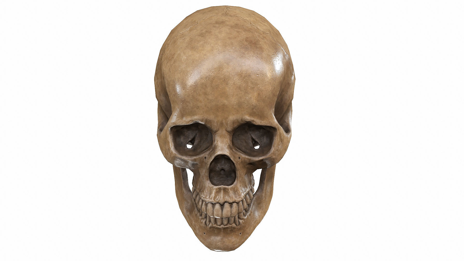 Skull LOW-POLY metal Low-poly 3D model_8