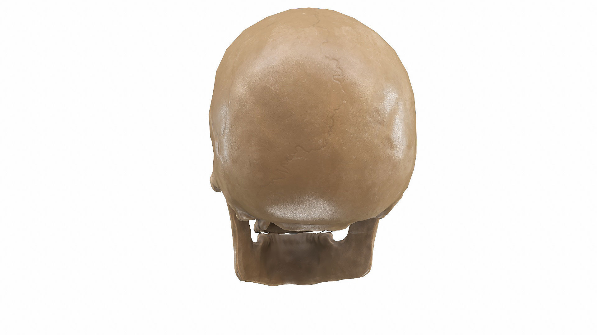 Skull LOW-POLY metal Low-poly 3D model_71