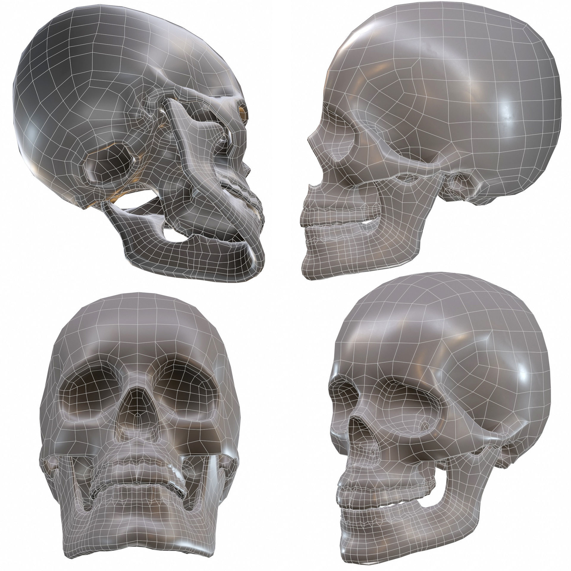 Skull LOW-POLY metal Low-poly 3D model_2