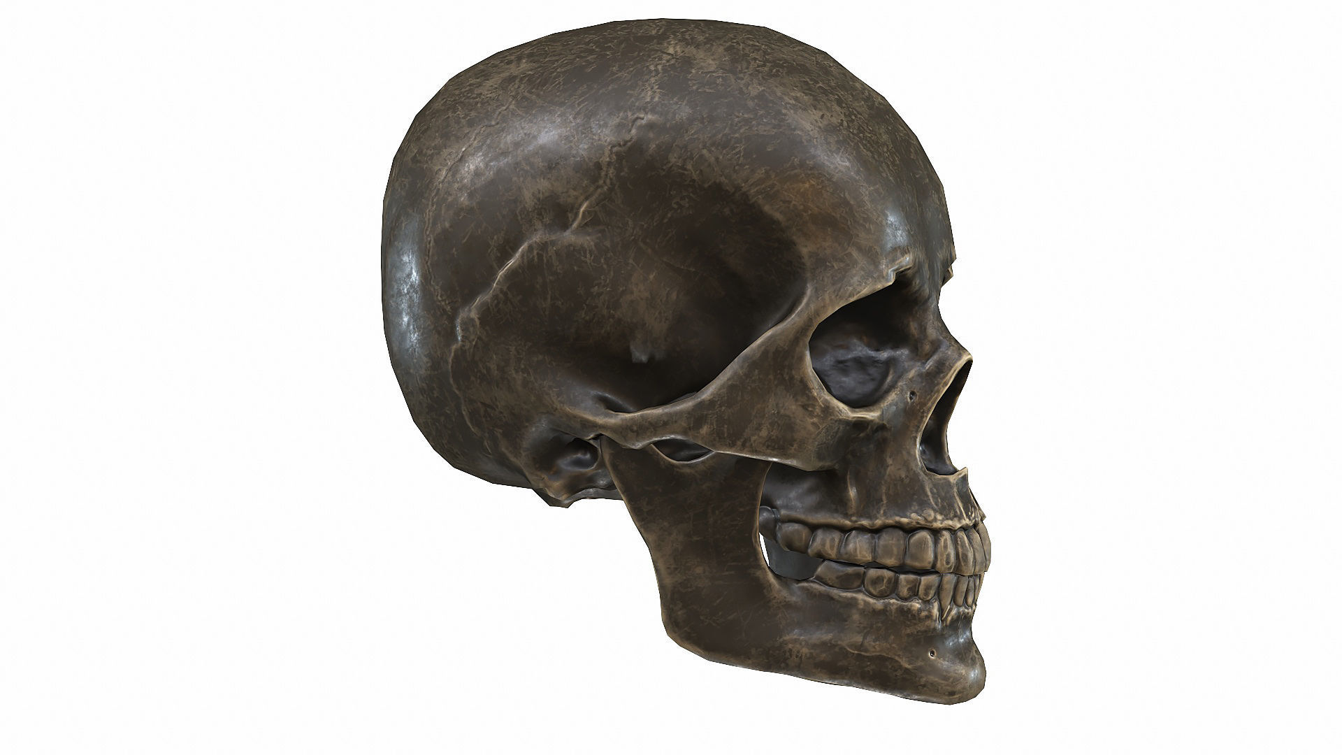 Skull LOW-POLY metal Low-poly 3D model_35