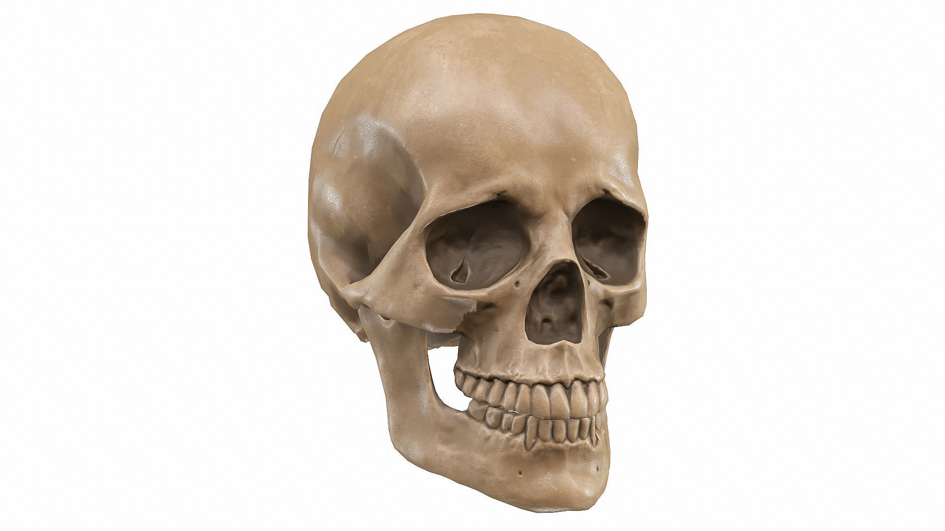Skull LOW-POLY metal Low-poly 3D model_78