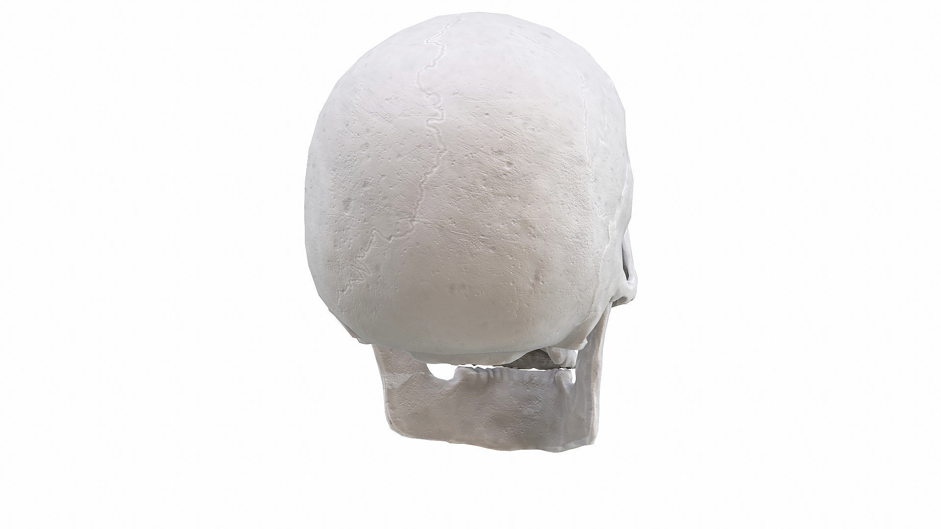 Skull LOW-POLY metal Low-poly 3D model_59