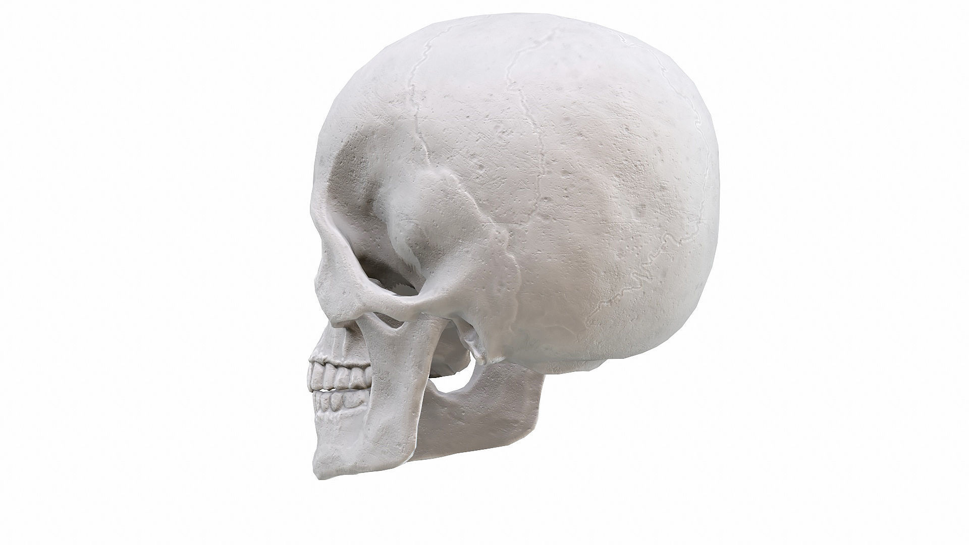 Skull LOW-POLY metal Low-poly 3D model_54
