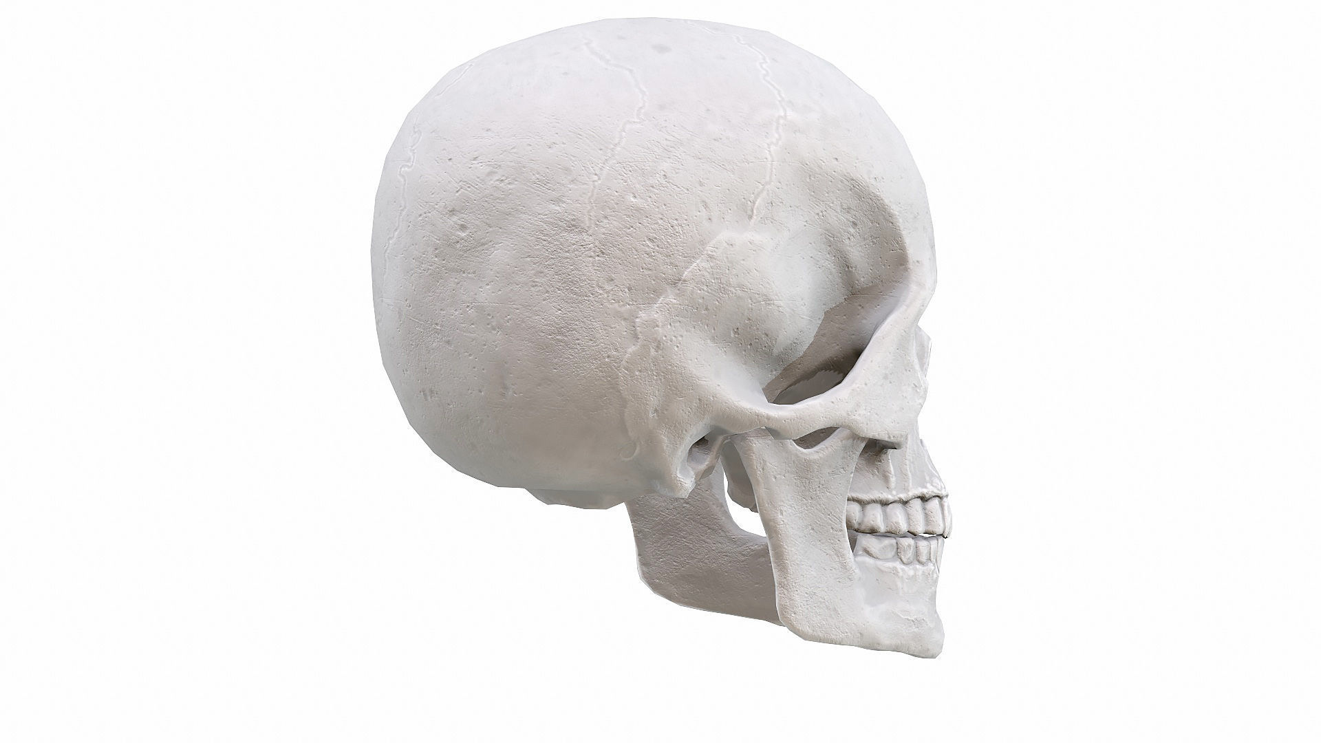 Skull LOW-POLY metal Low-poly 3D model_57