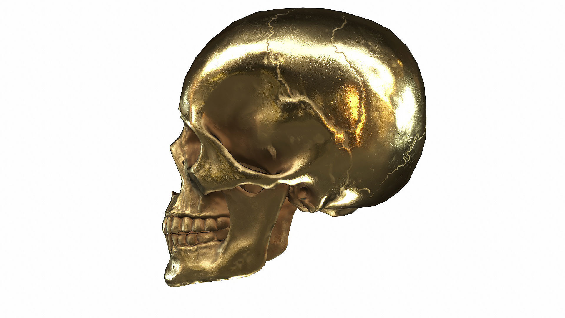Skull LOW-POLY metal Low-poly 3D model_81