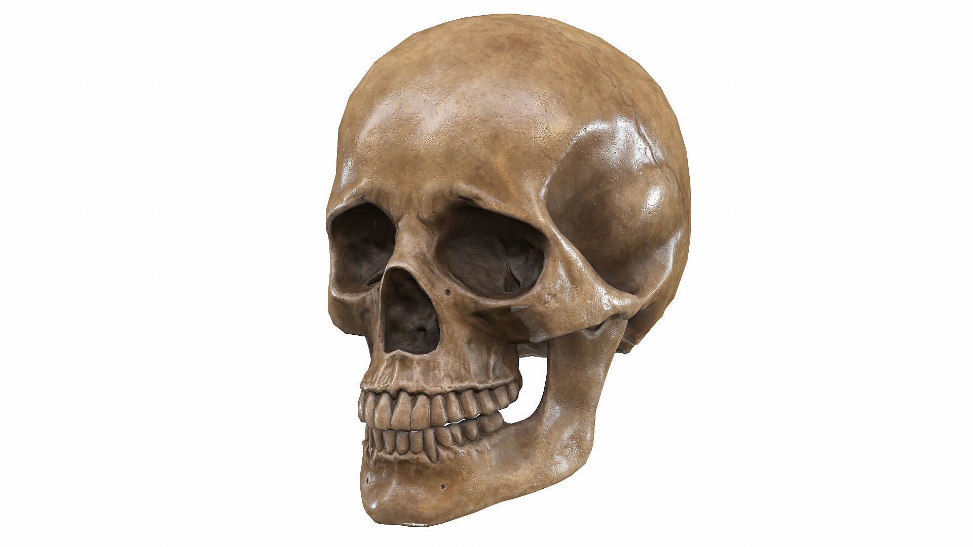 Skull LOW-POLY metal Low-poly 3D model_5