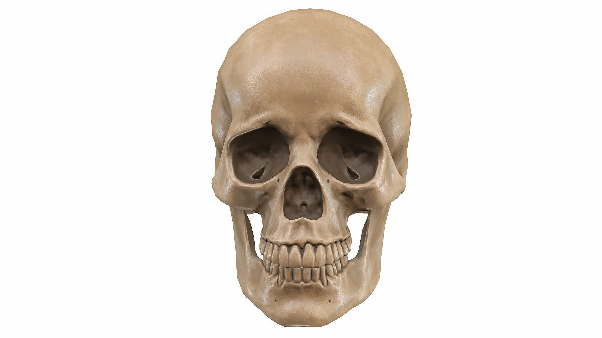 Skull LOW-POLY metal Low-poly 3D model_79